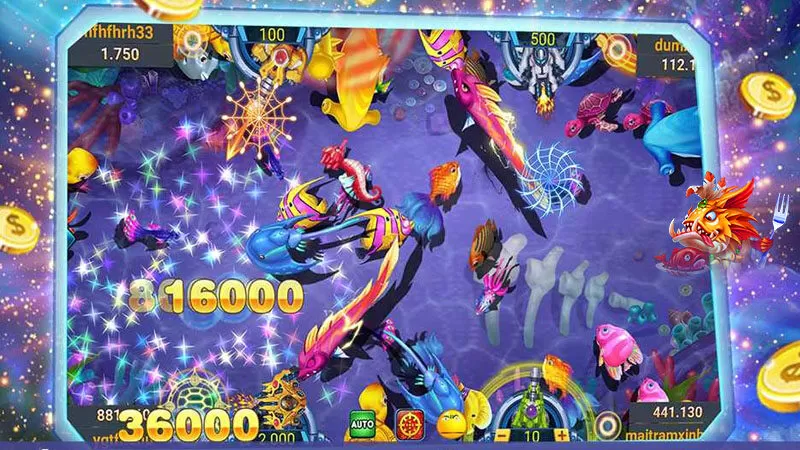 Chiến thuật bắn cá theo bầy săn nhiều cá